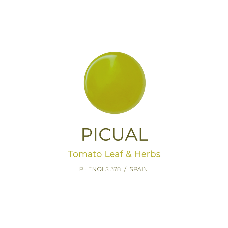 Picual Reserve Extra Virgin