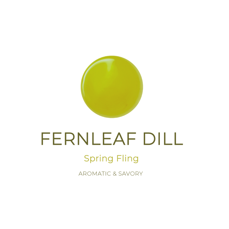 Fernleaf Dill Olive Oil