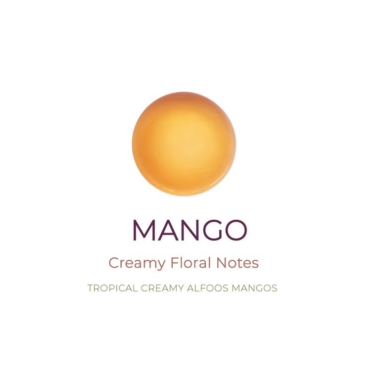 Mango Balsamic Fruit Vinegar